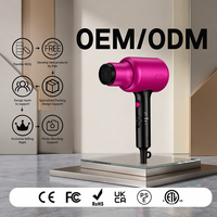 Sèche-cheveux électrique professionnel de salon, moteur BLDC 110000 tr/min, haute vitesse, ionique, diffuseur compact, utilisation en camping-car, température constante