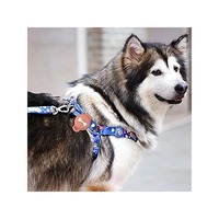1 pièce pour Apple AirTag, étui pour collier de chien ou de chat, localisateur GPS, étui en caoutchouc lumineux coloré avec impression d'écharpe