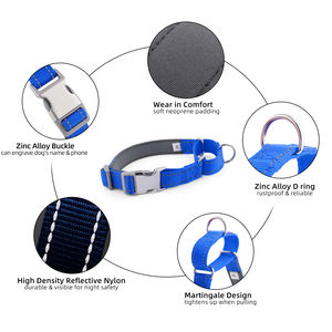 <span class=keywords><strong>Collar</strong></span> de nailon para perro, duradero, cómodo, ajustable, de lujo, a la moda, ecológico, para mascotas - Product Image 4