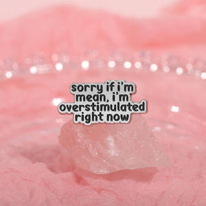 Insignias de Letras Inglesas Personalizadas de Aleación, Accesorios de Ropa, Lo <span class=keywords><strong>Siento</strong></span> si Soy Crudo, Estoy Muy Estimulado Ahora Mismo - Product Image 3