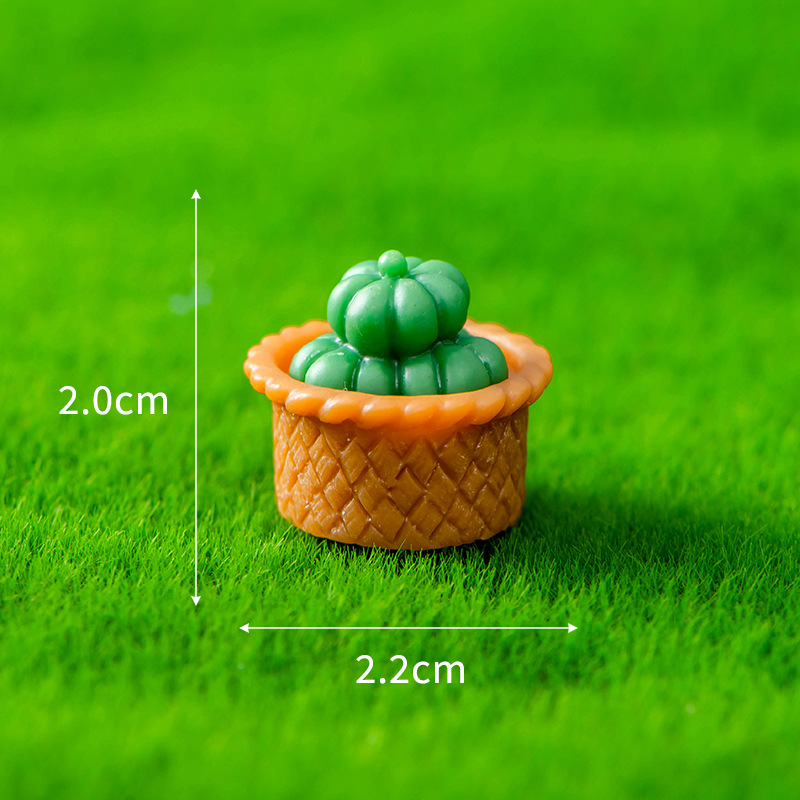 N°6 paniers de melons
