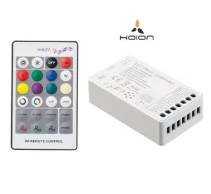 HOION wholesale DC5-24V RF RGB RGBW strip lighting remote control audio DJ Desco music led controller