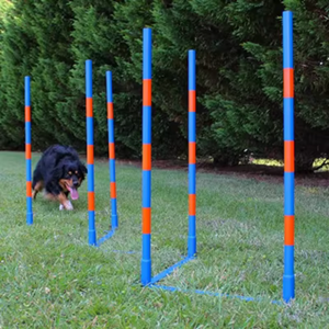 Set de Equipos de Entrenamiento de Agilidad para Perros: Postes de Slalom y Obstáculos de Acero para Perros - Product Image 2