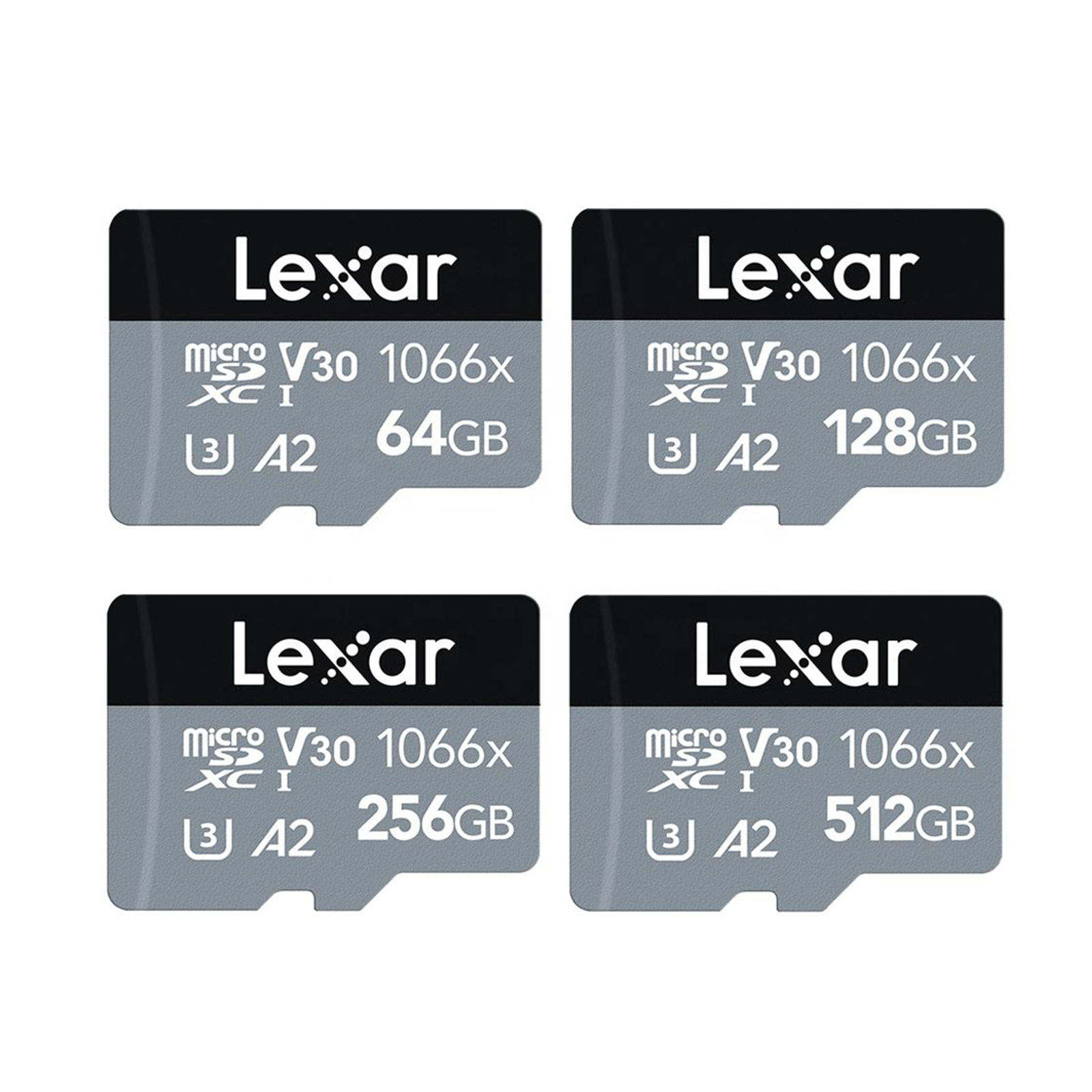 SD Card Gray