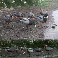 Xilei Leurres de canard colvert complet en gros Super Magnum Lot de 6 mangeoires/sentinelles de 20 pouces Matériau PE durable et réaliste
