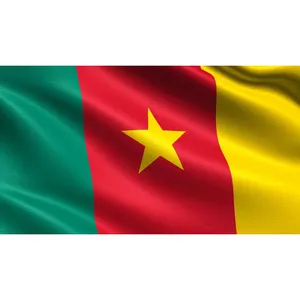 HUI FENG buy custom international outdoor advertising Cameroon flag National flag with logo