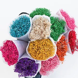 Ramo <span class=keywords><strong>de</strong></span> 120g <span class=keywords><strong>de</strong></span> Flores Secas <span class=keywords><strong>de</strong></span> Baby Breath Coloridas, Arreglo Floral <span class=keywords><strong>de</strong></span> Baby Breath con Tacto Real para Decoración <span class=keywords><strong>de</strong></span> Bodas y Hogar - Product Image 1