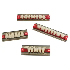 Dentadura de resina acrílica para dentadura Dental, dentadura de acrílico sintético de dos capas, color