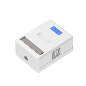 Flache Einzel- oder Doppel-Port Wandmontage RJ45 Aufputz-<span class=keywords><strong>Box</strong></span> Steckdosen-Frontplatte ABS Cat6 RJ45 RJ11 Frontplatte Cat 6 Frontplatte - Product Image 3