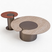 Table basse convertible Avidiinocasa, style nordique minimaliste moderne, créative, forme spéciale, en acier inoxydable et marbre naturel, durable