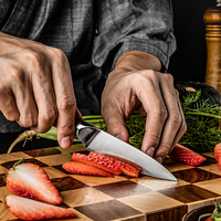 Professionnel 3.9 "pouces allemand de qualité supérieure DIN1.4116 couteau d'office de chef de cuisine en acier inoxydable à haute teneur en carbone avec manche en bois Pakka