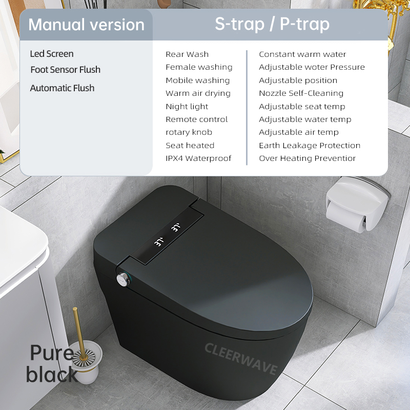 Standard Manual Version