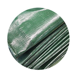 Lona de plástico <span class=keywords><strong>para</strong></span> jardín, toldo impermeable <span class=keywords><strong>para</strong></span> casa de camión, cubierta de tienda, piscina, protección solar, lona - Product Image 6