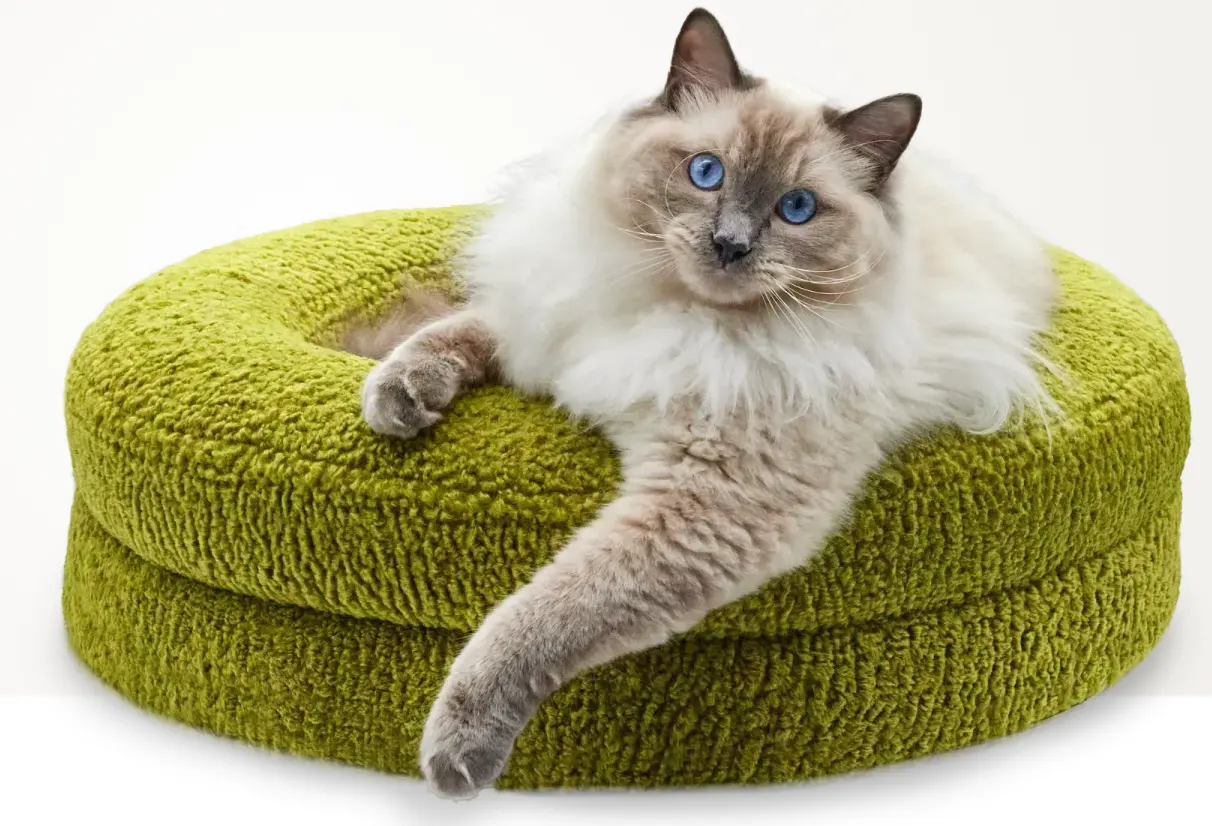 High Quality Cat Nest with Boucle Cover Memory Foam Luxury Design CatStreet Barney Bed Rounded Curl Dog Cat Orthopedic Pet Bed