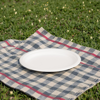 Plats et assiettes jetables prêts à expédier en fibre végétale 6/8/9/10 pouces 100% assiette de bagasse de canne à sucre biodégradable compostable