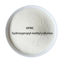 Poudre de produits chimiques de mastic de mur HEMC/MHEC/HEC/HPMC méthylhydroxyéthyl cellulose/éther d'amidon HPMC pour la construction prête à l'emploi