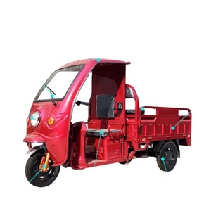 Wholesale Cargo Tricycle 1000W 1500W 2000W Electric Tricycle Load Capacity 1000 kg Cargo Etrike - Product Image 1