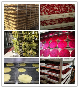 Machine à sécher le poisson, équipement de transformation du poisson <span class=keywords><strong>séché</strong></span>, sécheur à air chaud pour poisson, seiche, crevettes, <span class=keywords><strong>hippocampe</strong></span> - Product Image 3