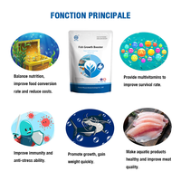 Supplément d'alimentation aquacole de qualité alimentaire 1 kg pour l'engraissement des poissons, anti-stress et stimulant de croissance pour le Tilapia