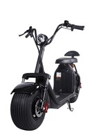 2000W Su Geçirmez Lityum Bataryalı 2 Kişilik Geniş Tekerlekli Arazi Elektrikli Scooter