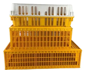 100% PE Vật Liệu Nhựa Gia Cầm Vận Chuyển Lồng, Vận Chuyển Thùng Cho Sống Gia Cầm (Skype: Zh-lydia) - Product Image 1