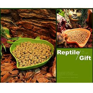 Boîte d'alimentation populaire, pratique et élégante pour reptiles, terrarium pour lézard, tortue, grenouille à cornes, fournitures pour reptiles - Product Image 4