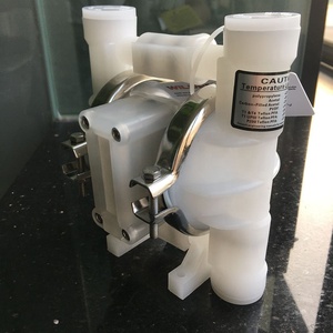 Pompe Pneumatiche a Diaframma Wilden P.025/KZPPP/<span class=keywords><strong>TNL</strong></span>/TF/KTV con Diaframma in PTFE, Vendita all'Ingrosso - Product Image 2