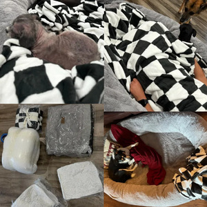 Venta al por mayor de lujo cama para mascotas personalizado ortopédico DurablevPet cama para perros humanos Perrera de alta calidad - Product Image 3