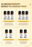 Kit d'huiles essentielles d'aromathérapie 100% naturelles, 10 flacons, personnalisé, aux senteurs fruitées, florales et végétales, distillées à la vapeur, pour SPA, salon, diffuseur et massage