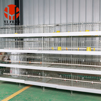 Cage à poulets de chair de type H, cage à batterie automatique pour poulets de chair, 3 niveaux, abreuvoir à tétine, système d'évacuation du fumier au sol, en acier galvanisé