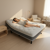 Cadre de lit inclinable réglable en fer durable avec télécommande sans fil et système de levage stable pour personnes âgées et femmes enceintes
