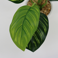 Usine Directe De Gros Plante Artificielle Feuille Verte Artificielle Bonsaï pour La Maison Hôtel Décoration