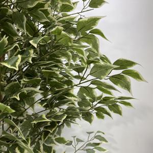 Grand arbre artificiel de banian réaliste de qualité supérieure avec tronc naturel pour la décoration de jardin extérieur - Product Image 6