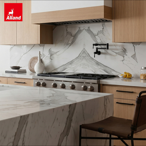Meuble de rangement de cuisine Alland, style européen, unité de rangement pour porte pleine hauteur, sans cadre, en chêne <span class=keywords><strong>clair</strong></span> - Product Image 2