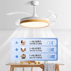 Ceiling Fan Light With Led Integrated Invisible Fan For Bedroom Living Room Dining Room Home Use - Product Image 2