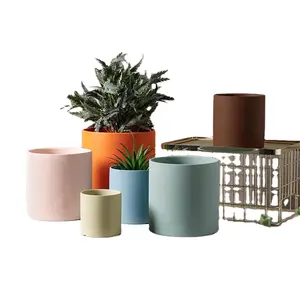 Maceta de cerámica de estilo nórdico, maceta de plantas verde suculentas, moderna y minimalista con personalidad, rosa de rábano verde