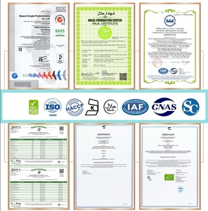 Extrato de pó de alta qualidade <span class=keywords><strong>Atractylodes</strong></span> Macrocephala <span class=keywords><strong>Rhizome</strong></span> - Product Image 5