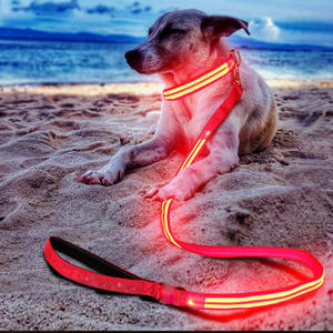 <span class=keywords><strong>Collar</strong></span> Luminoso Ajustable para Perro, Correa con Luz LED, Seguridad Nocturna, Productos para Mascotas, Decoración de Encaje de Nailon Sólido, Gatos Oscuros Brillantes, Perros - Product Image 3