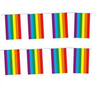 Lgbt Gay Rainbow Polyester Pride String <b>Flag</b> for Festival Party Celebration Decoration - Product Image 2