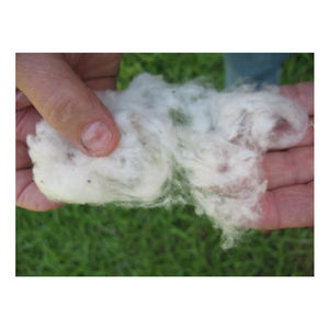 Fiber de coton biologique brut, 100% Pure, meilleure qualité, à prix bas - Product Image 1