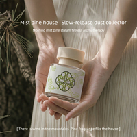 Diffuseur de parfum de luxe pour la maison, coffret cadeau d'aromathérapie avec parfum naturel longue durée pour salon, chambre, toilettes, rafraîchisseur d'air