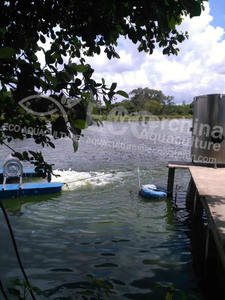 Máquina de aireación ECO Airlift para acuicultura, aireadores para peces y gambas, nanotubos, aireación para acuicultura, <span class=keywords><strong>2021</strong></span> - Product Image 6