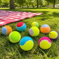Jouet à mâcher interactif et durable pour chien en caoutchouc et silicone de luxe, personnalisable avec logo OEM, idéal pour l'entraînement des animaux de compagnie - Vente en gros