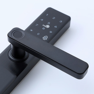 Wenxun <b>Smart</b> <b>Lock</b> Fingerprint Password Card Wooden Door Apartment Office App Remote Control 85 Series Narrow Frame - Product Image 1