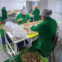Frutos secos brasileños de alta calidad, proteína y aminoácidos esenciales a granel, precio barato, venta al por mayor