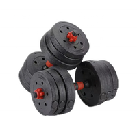Ensemble d'Haltères Ajustables en Ciment pour Salle de Sport, 50kg, avec Barre Détachable et Poids de 24kg, 32kg pour Fitness, Combinaisons Variées, Usage Domestique