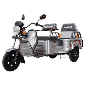 Mini elektrikli araba 500w 800w Golf Scooter elektrikli Scooter 3 tekerlekli elektrikli motosiklet elektrikli üç teker bisikletler