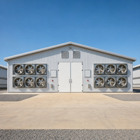 Bâtiment en acier pour poulailler, entrepôt, garage, hangar, abri agricole préfabriqué, structure d'élevage ventilée, conception de ferme