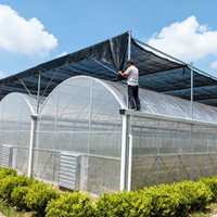 Serre Multispan à bas prix pour toutes sortes de plantes Serre personnalisée Cadre en acier galvanisé à chaud pour légumes