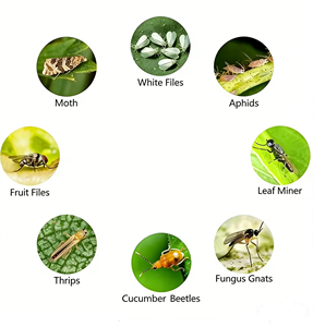 Bolas Adhesivas Amarillas/Verdes para Insectos, Material Hueco Impermeable y No Tóxico, Aptas para <span class=keywords><strong>Plantas</strong></span> de Interior y Jardinería - Product Image 6
